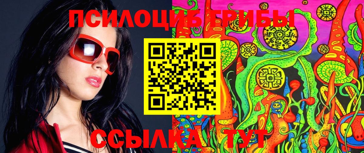 Галлюциногенные грибы Psilocybine cubensis Горно-Алтайск